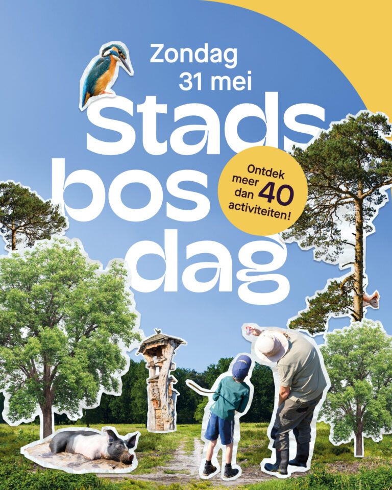 stadsbosdag
