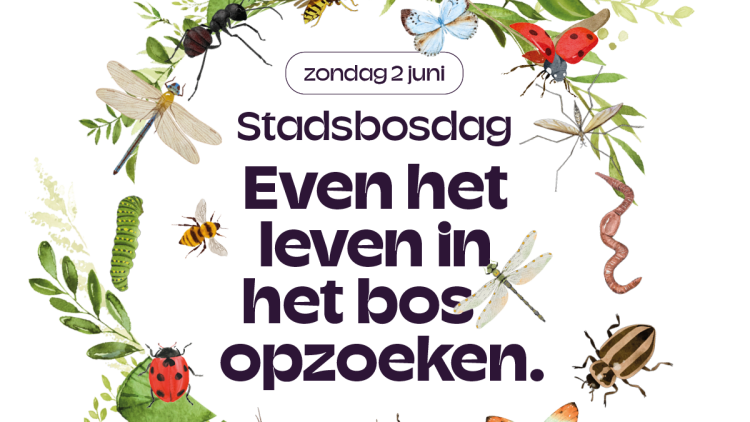 SB013_stadsbosdag2024_mailchimp1